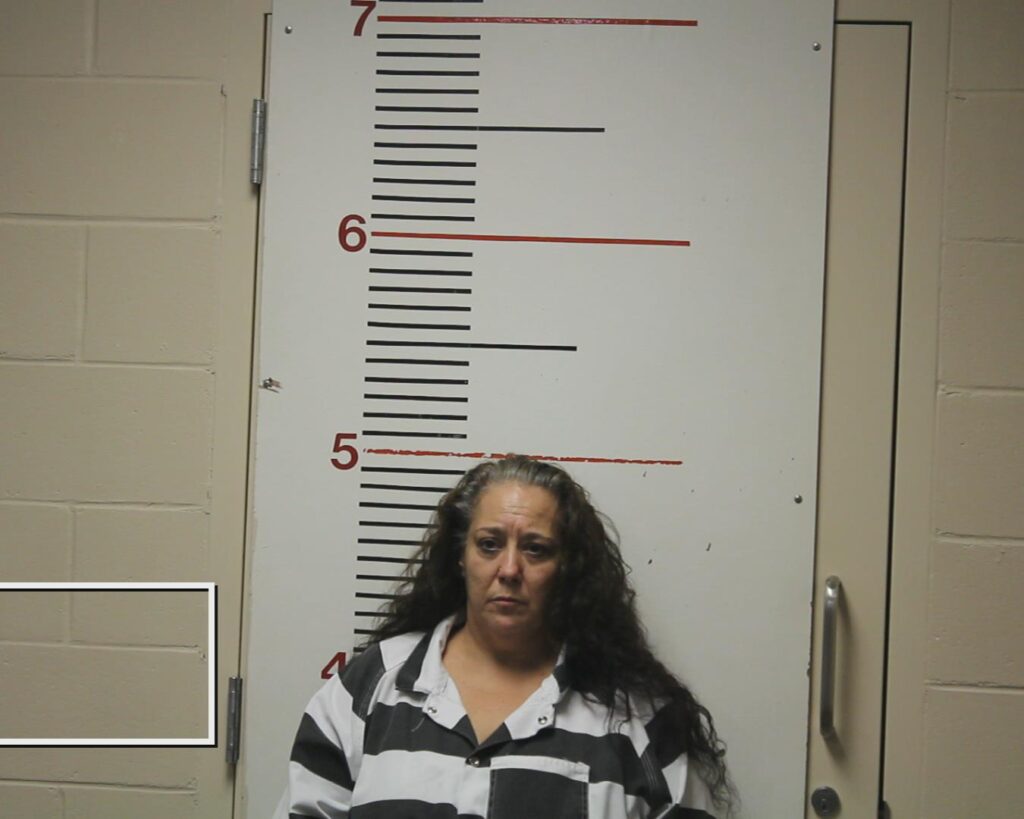 HAYS, GAYLE LYNN booking photo