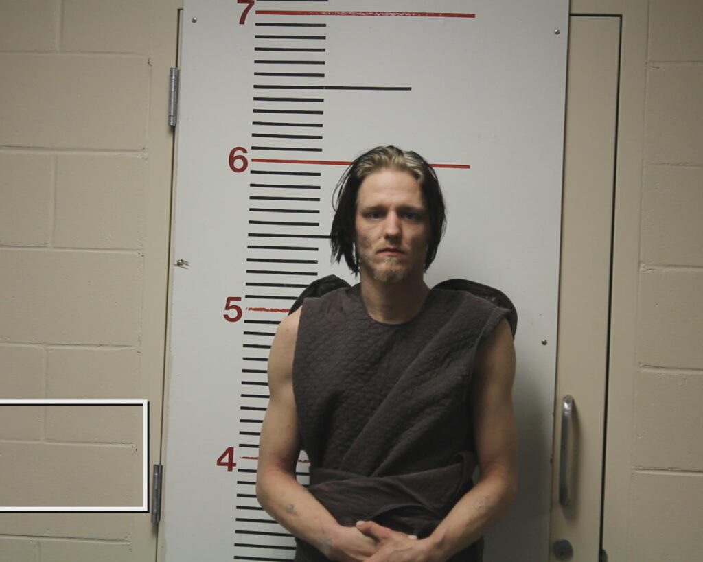 SEALE, LEVI AUSTIN booking photo