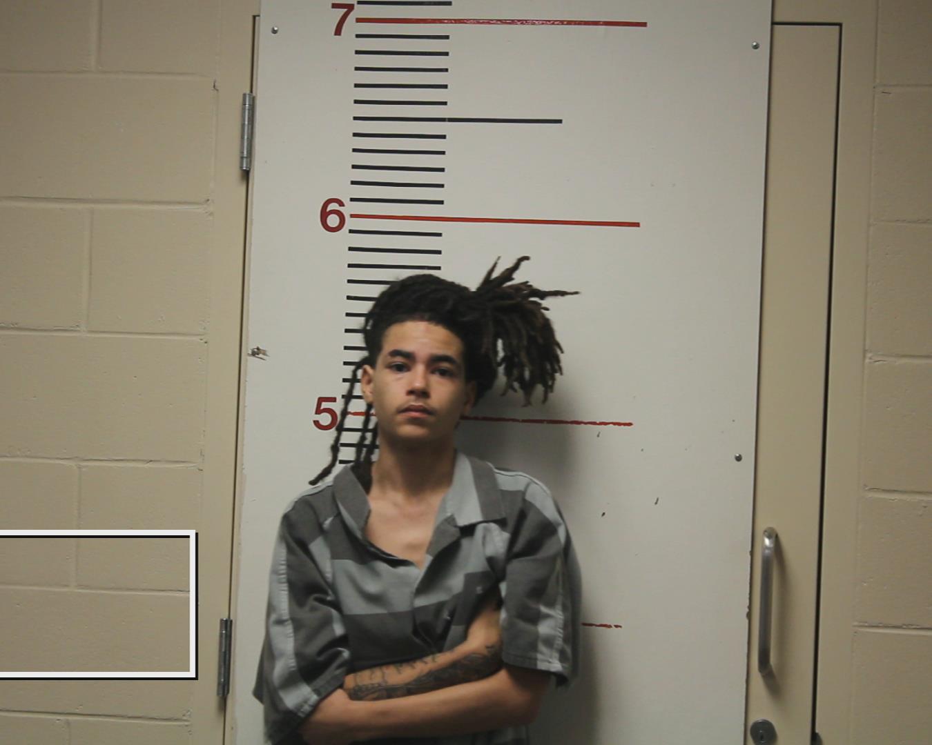 MATHEWS, BRENDEN ANTHONY booking photo