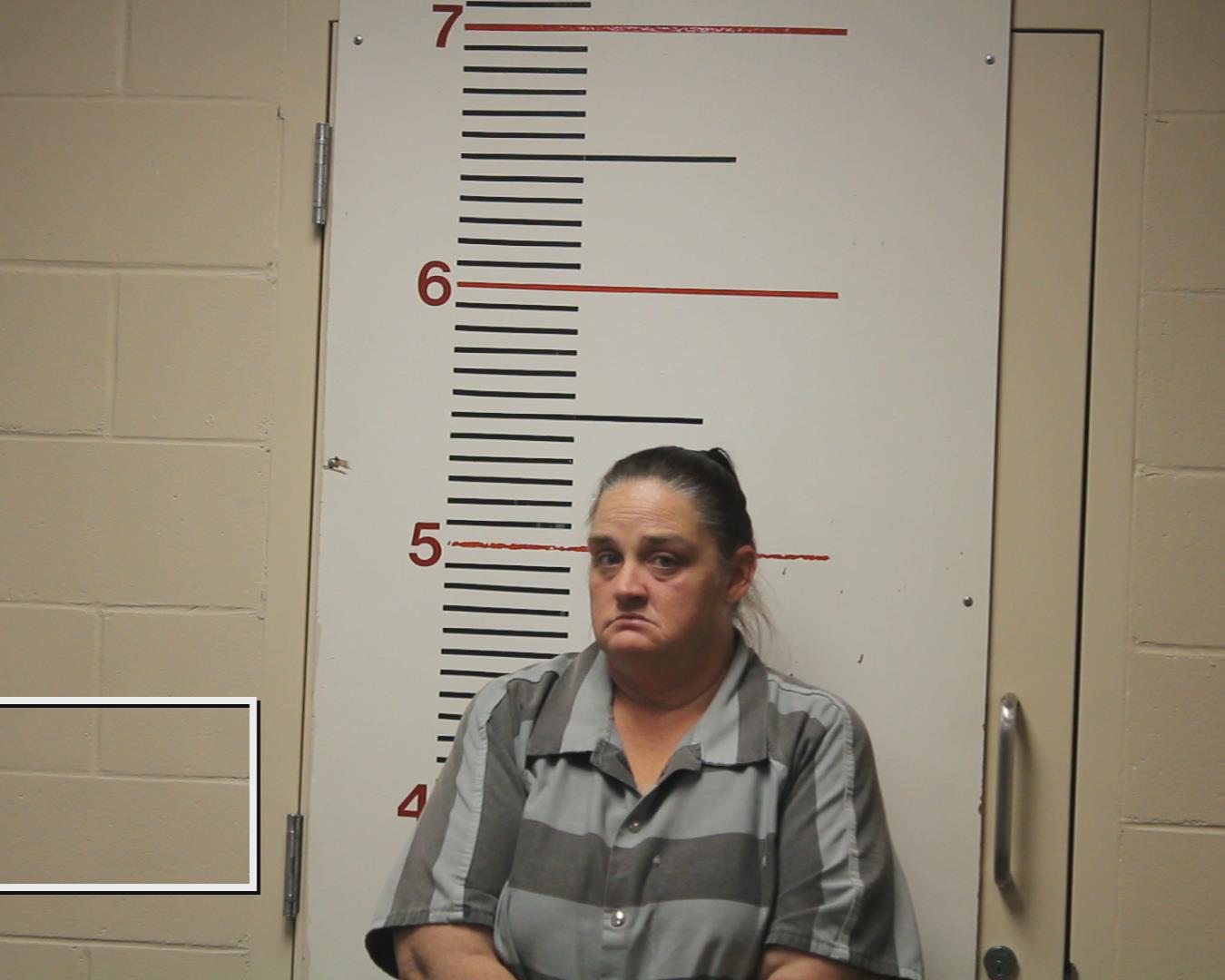 Davis, Brandy Nicole booking photo