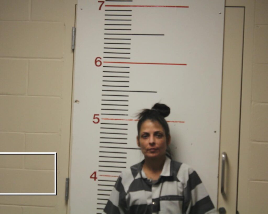 LEBLANC, VERONICA LYNN booking photo