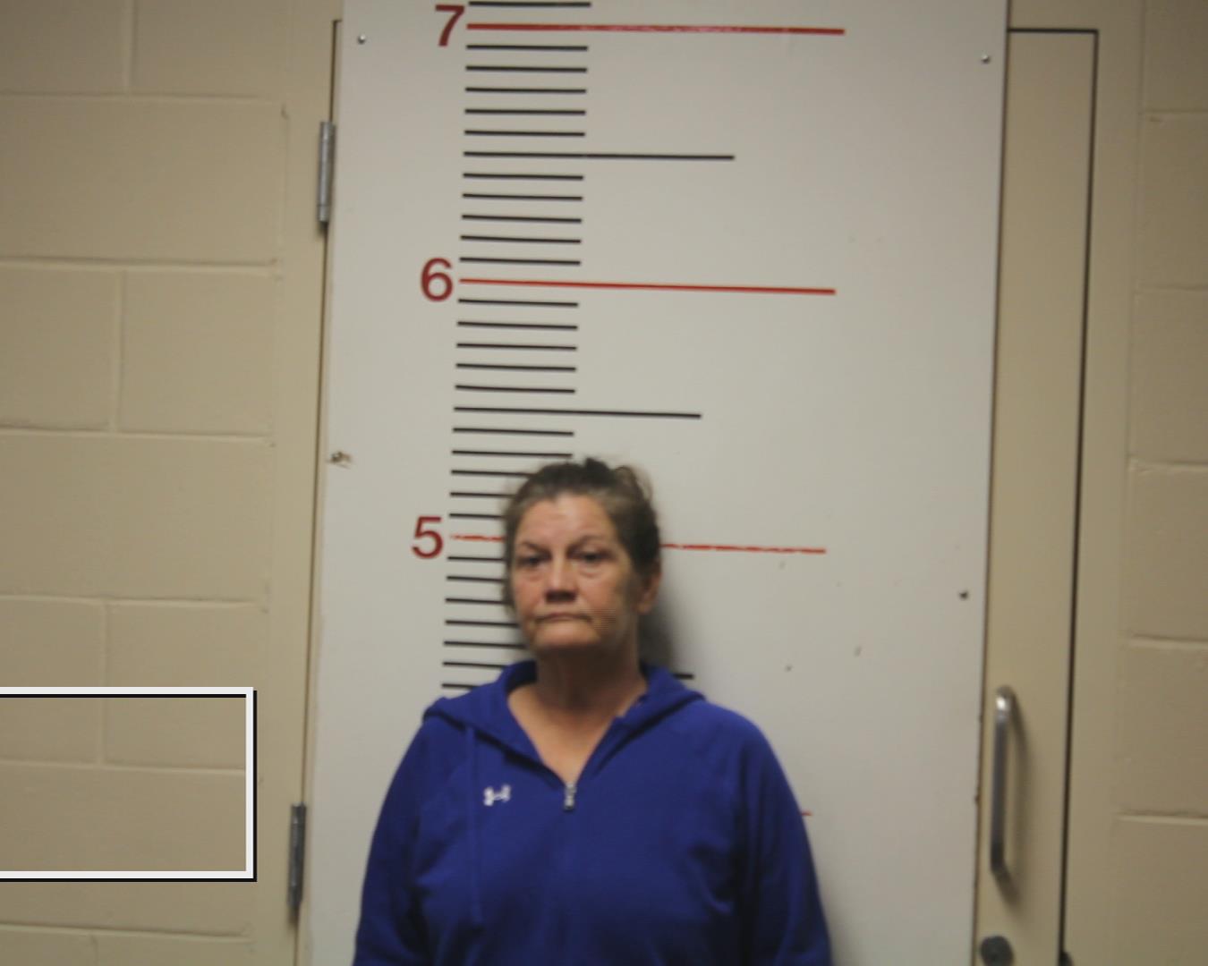 BOSTIC, MELINDA LEE booking photo