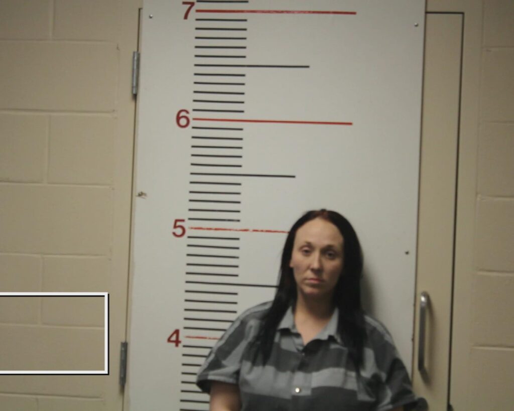 BECKHAM, SHELBY LYNN booking photo