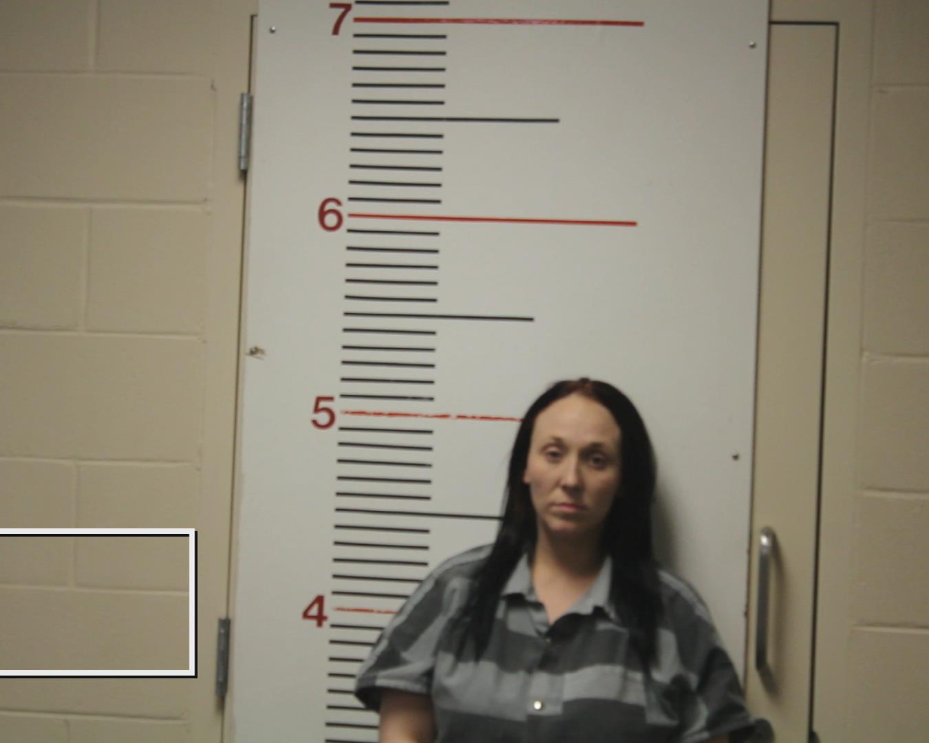 BECKHAM, SHELBY LYNN booking photo