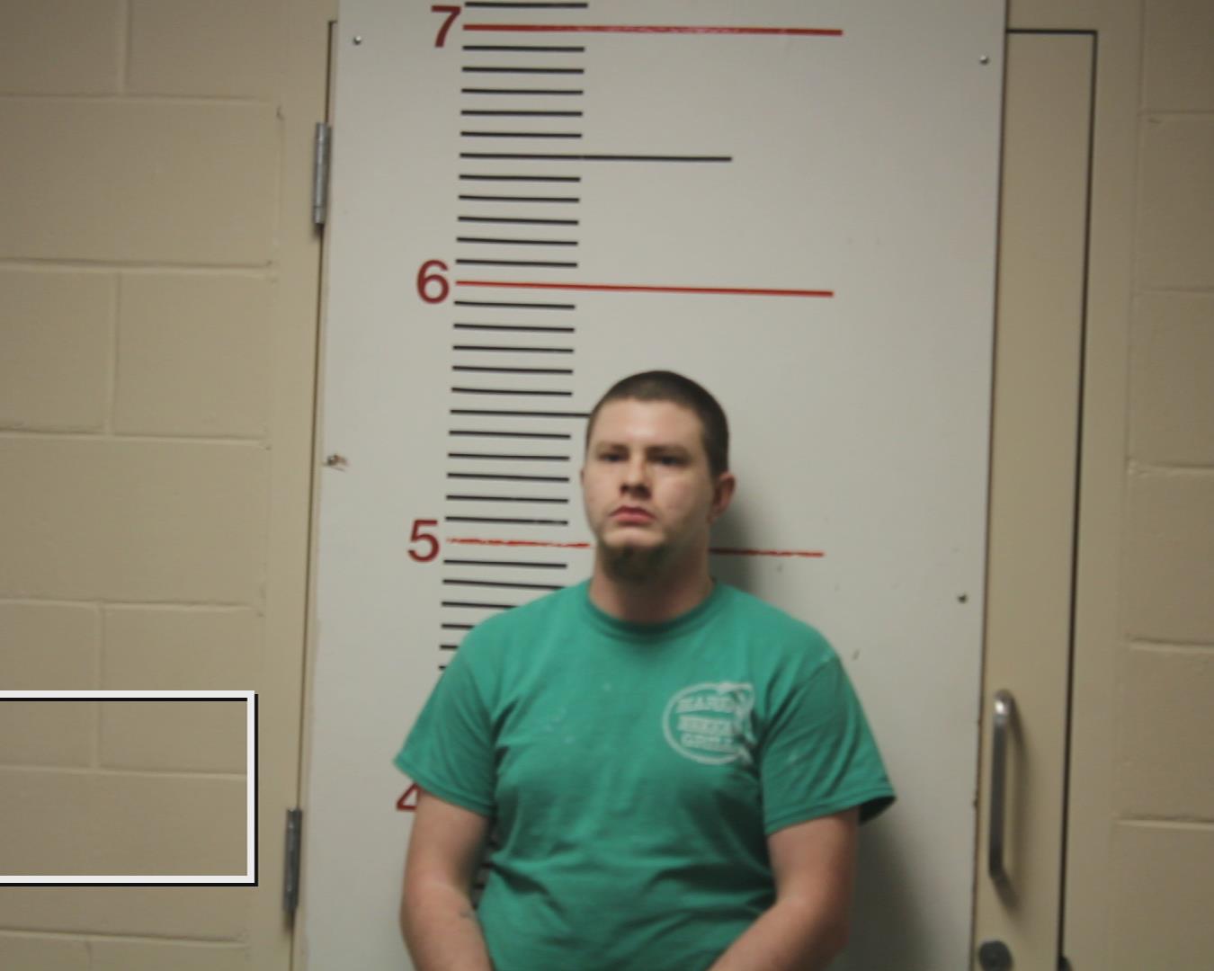 COX, DAKOTA LYNN booking photo