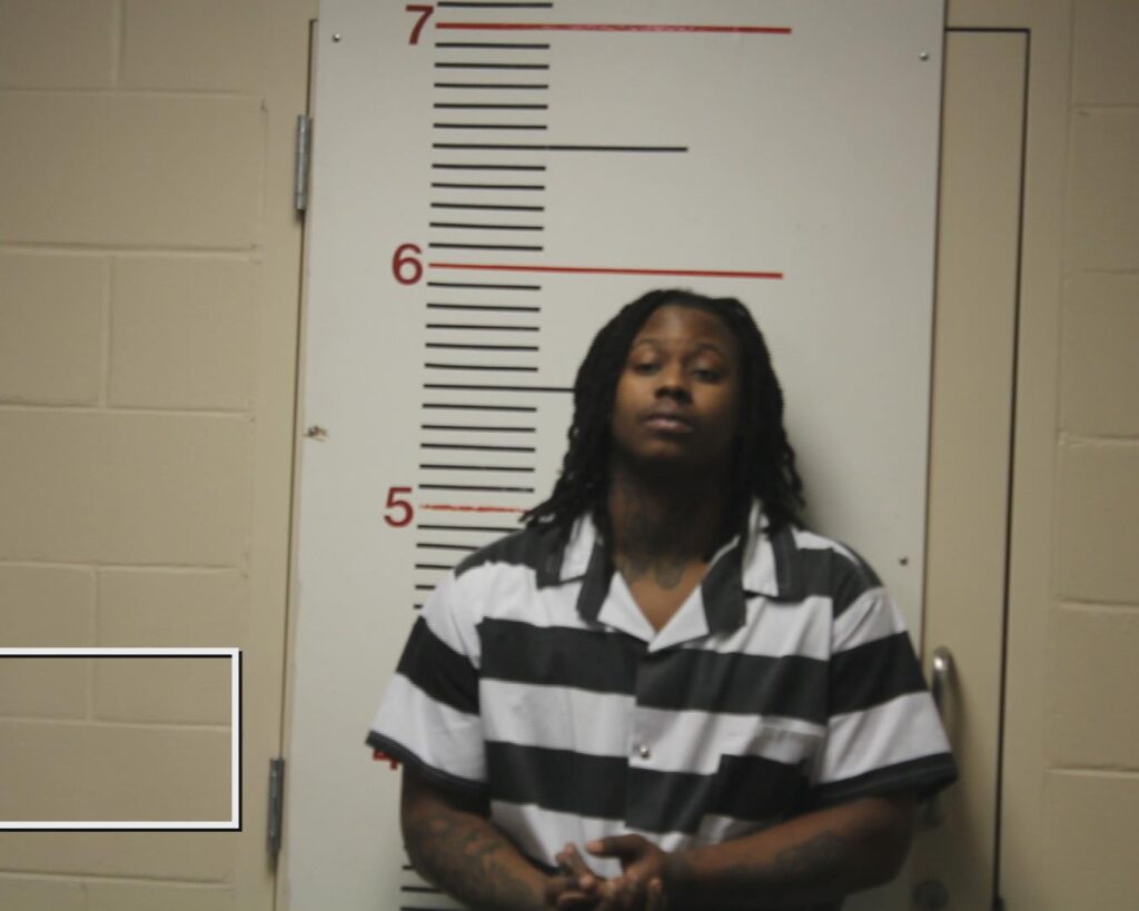 WILSON, CEDRIC LOWON, Jr. booking photo