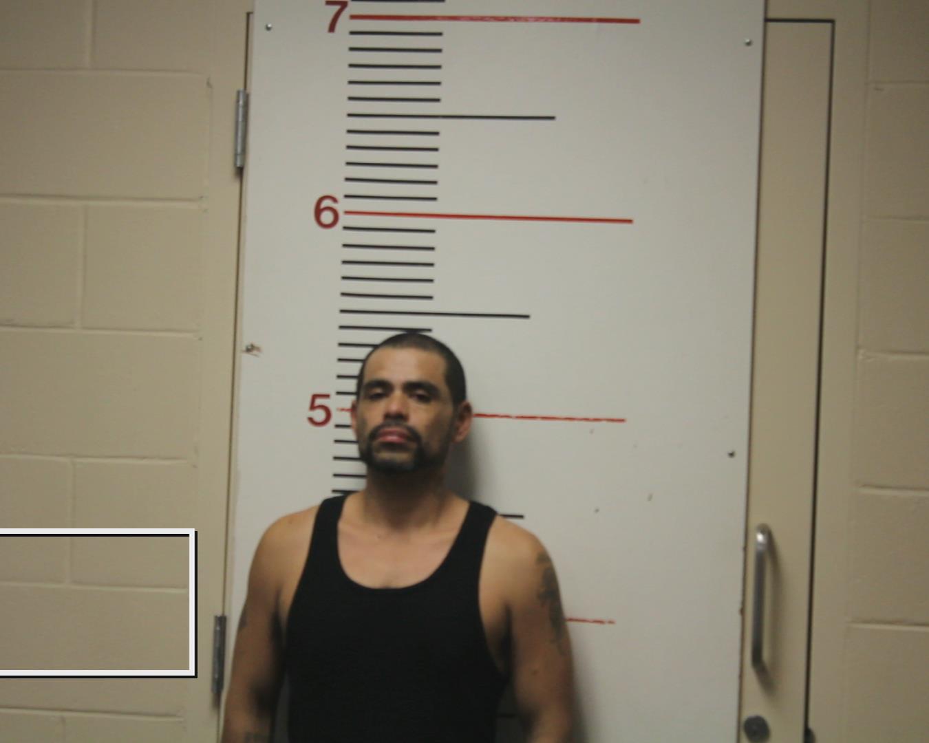 GOVEA, IVAN booking photo