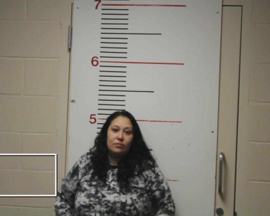 AVITIA-RETANA, BRISA JUDITH booking photo