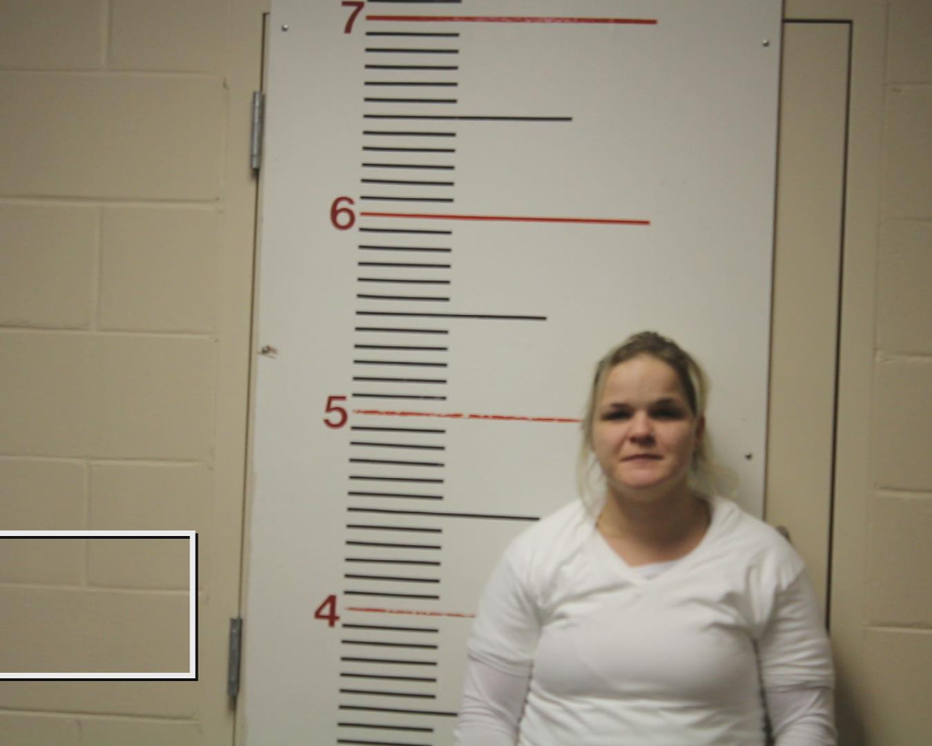 MORGAN, BETHANY ELAINE booking photo
