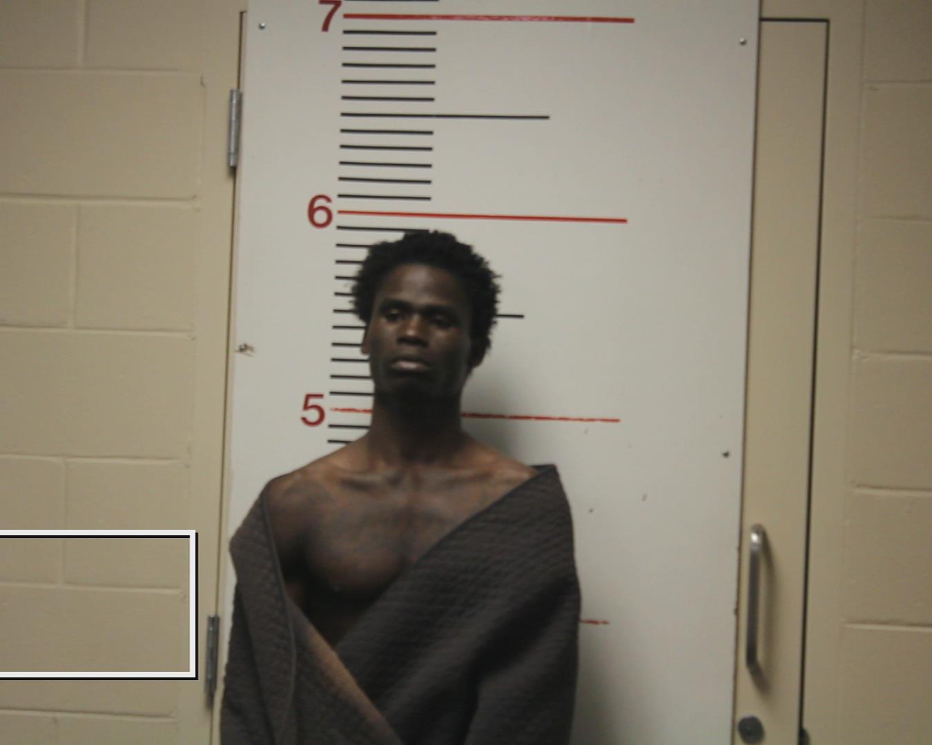 HANDSBOROUGH, TREAVEON TANSEAN booking photo