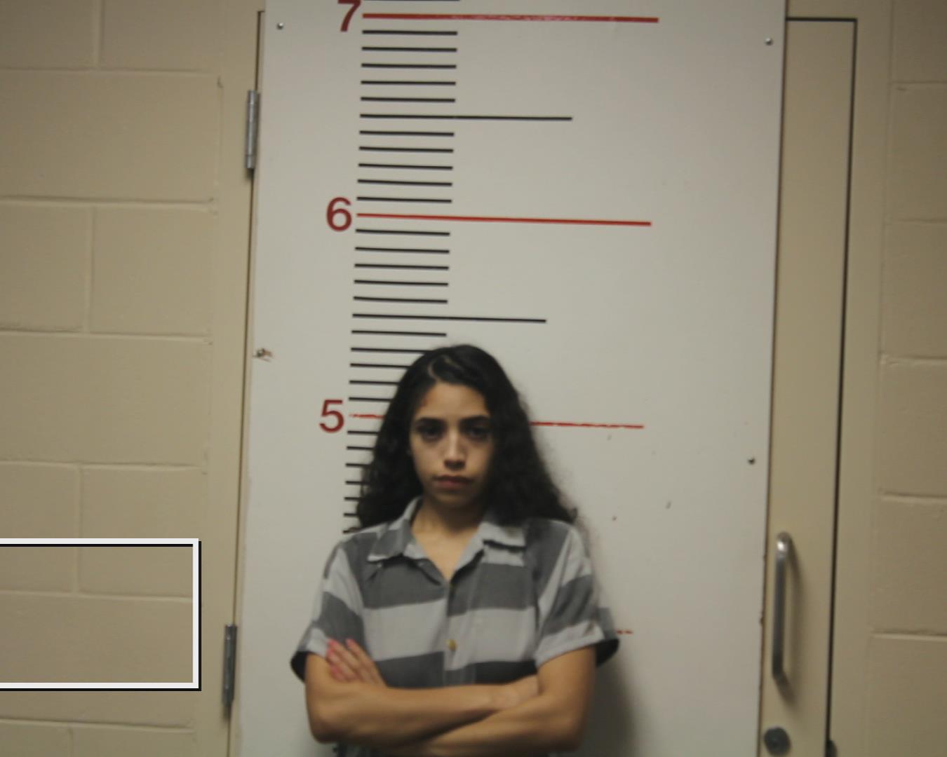 BELTRAN, ALICIA REBECKA booking photo