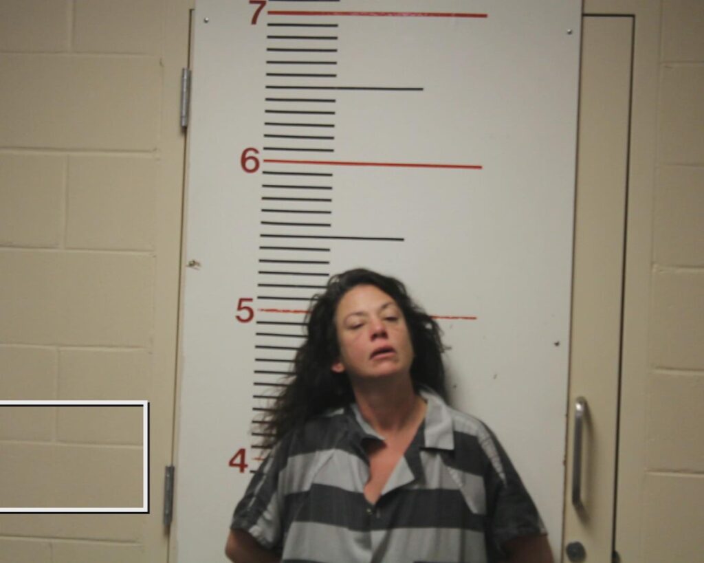 BRUCE, BRANDE booking photo