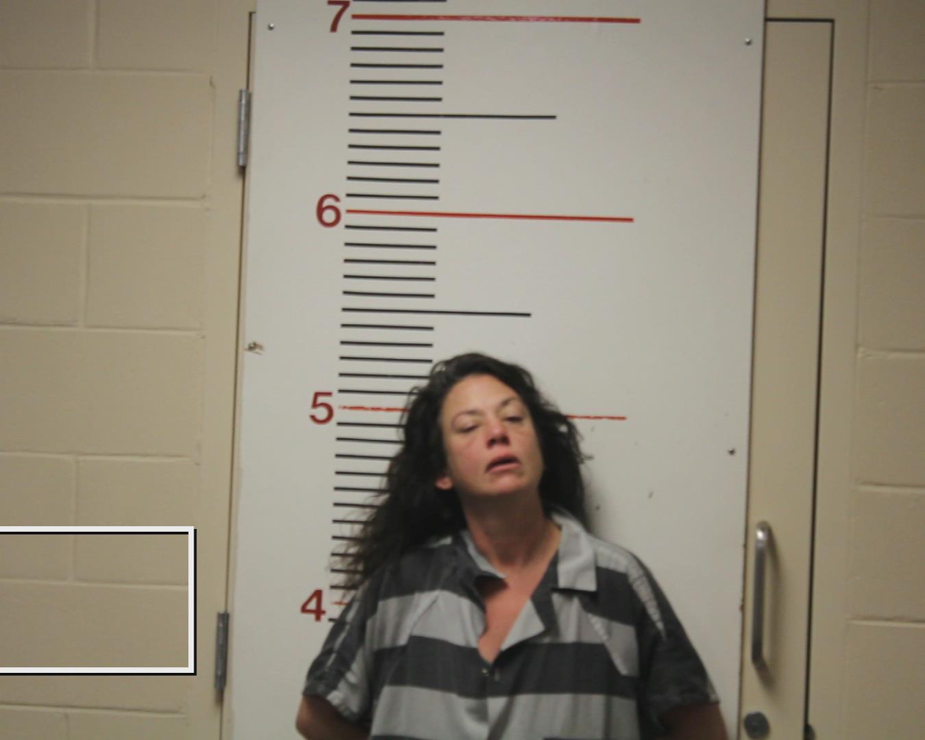 BRUCE, BRANDE booking photo