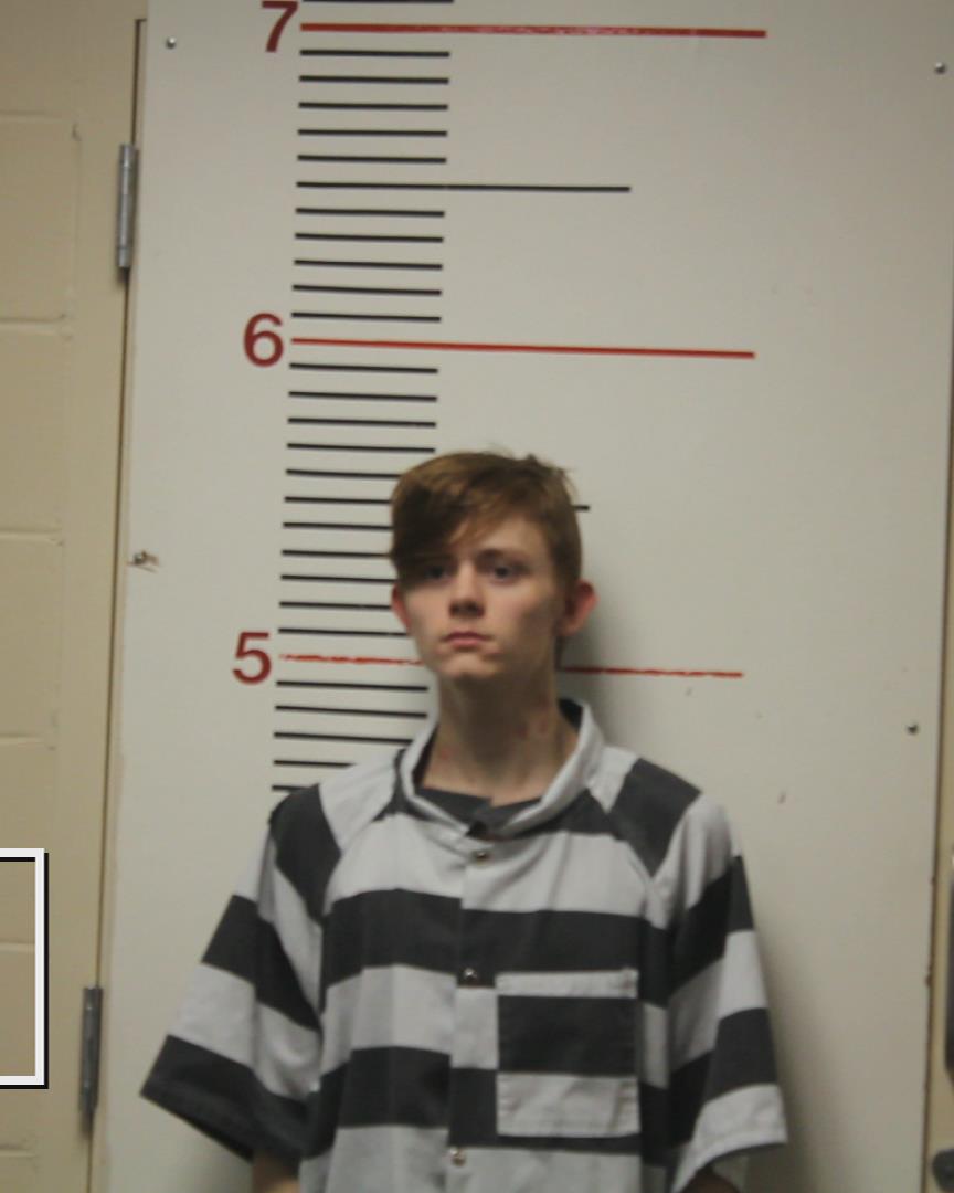 MINK, AUSTON ERICK booking photo