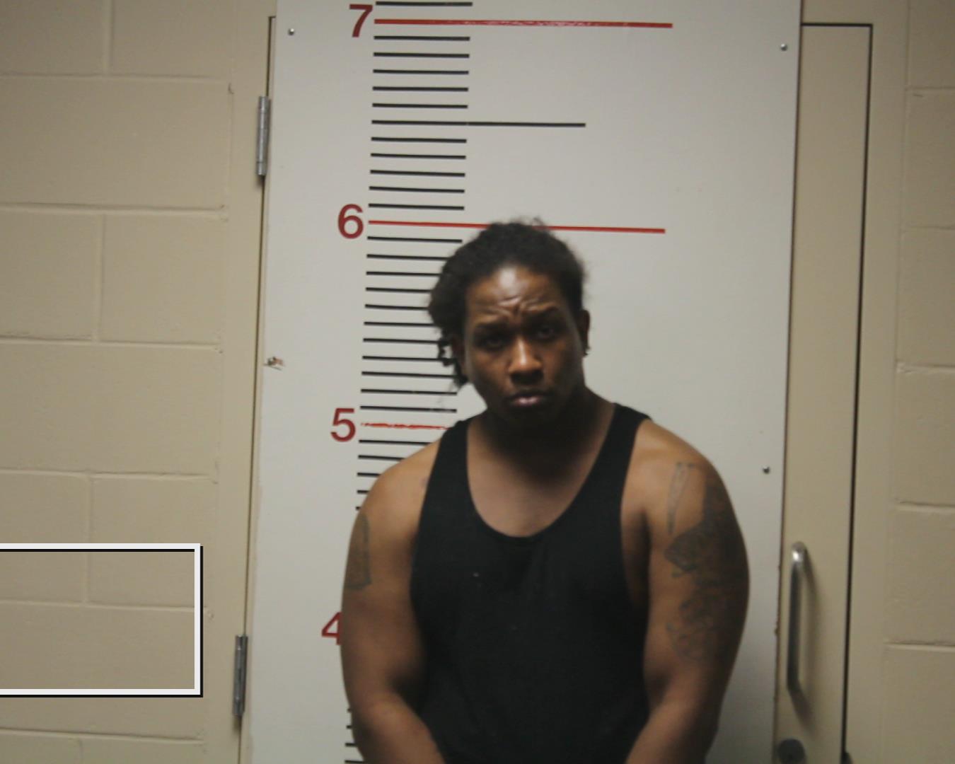 HOLOMAN, DARREN DONNELL booking photo