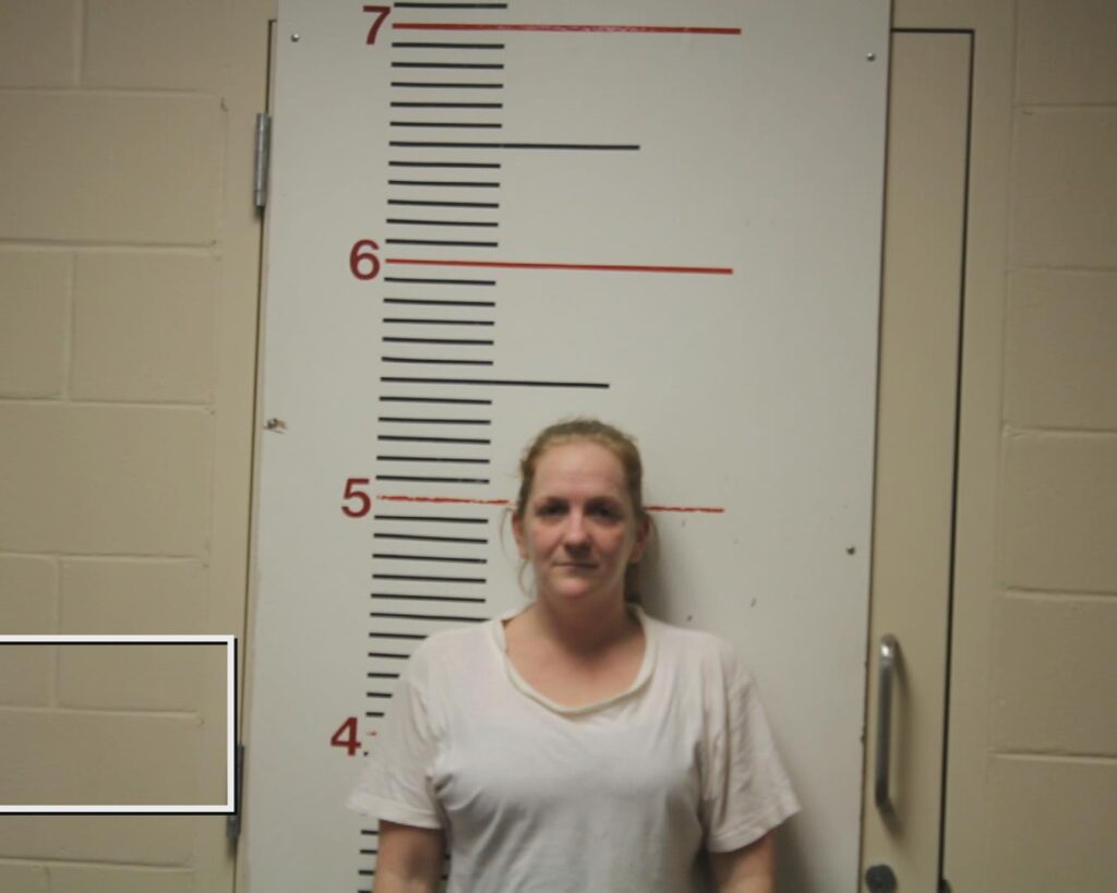 CHEEK, KACIE JANAE booking photo