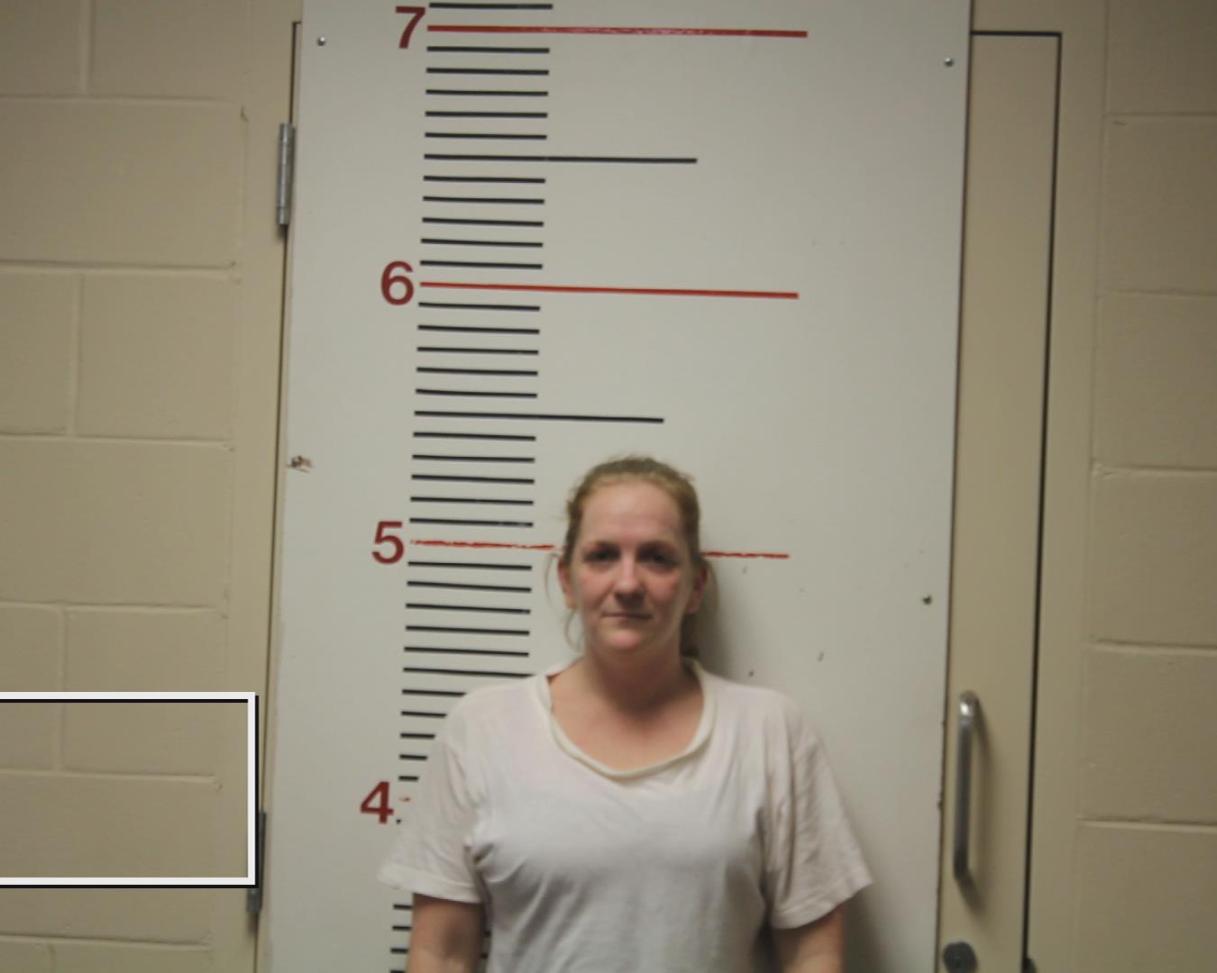 CHEEK, KACIE JANAE booking photo