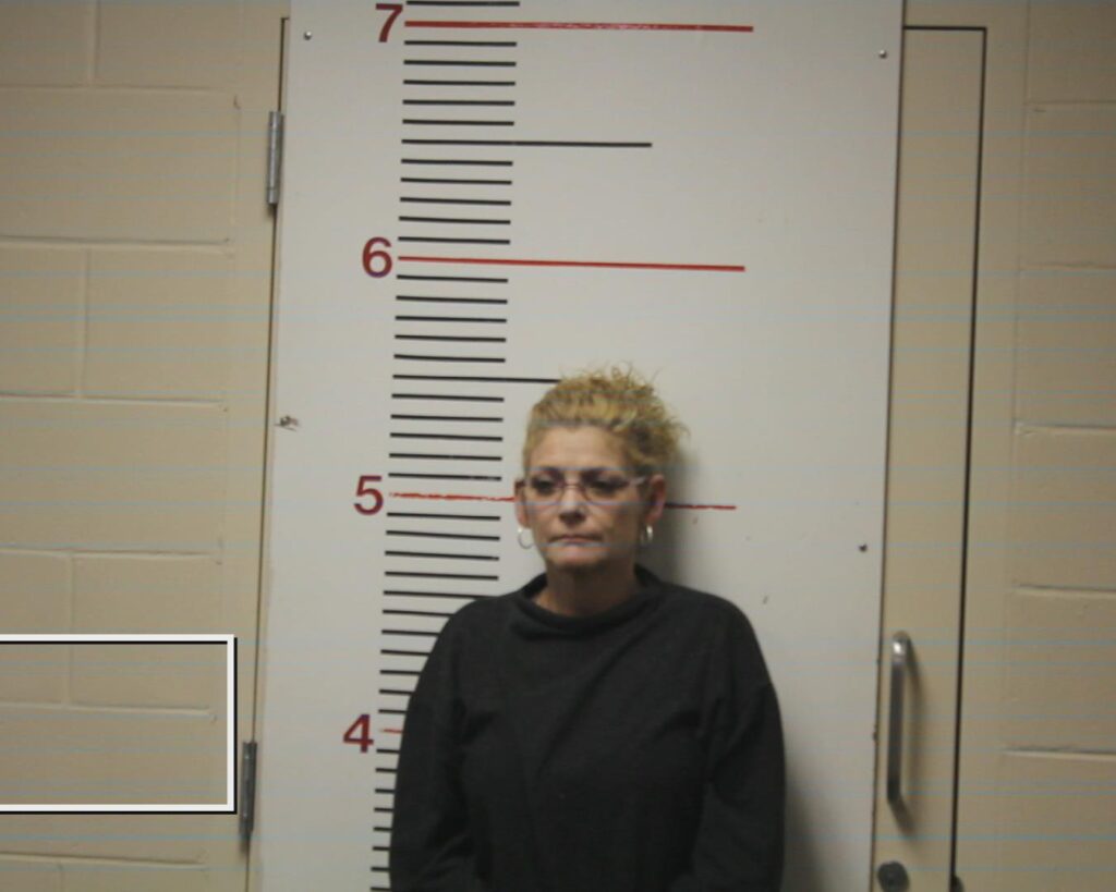 HAYS, ERIN ELIZABETH booking photo