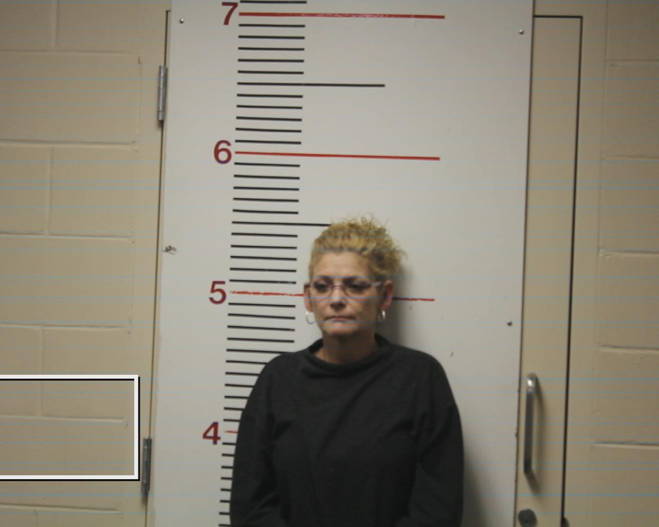HAYS, ERIN ELIZABETH booking photo