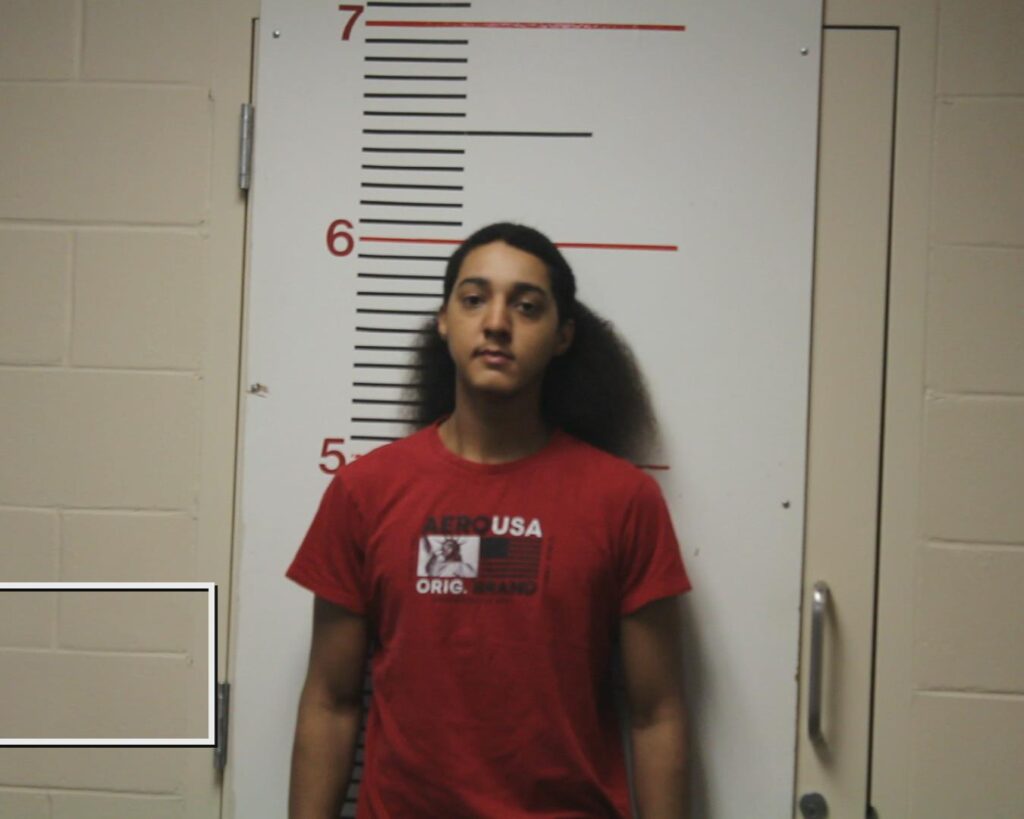 ADAMS, QUAVON LEESHUN booking photo