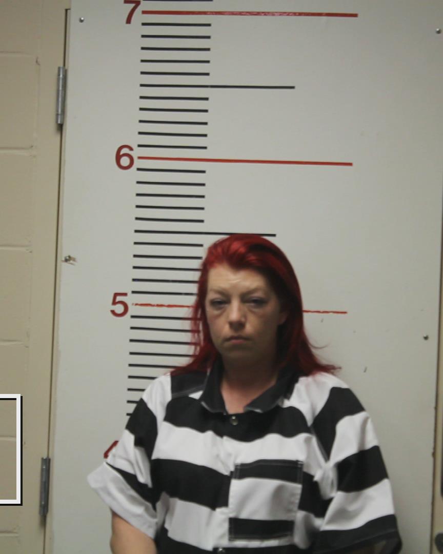 DEHTAN, TARA LEIGH booking photo