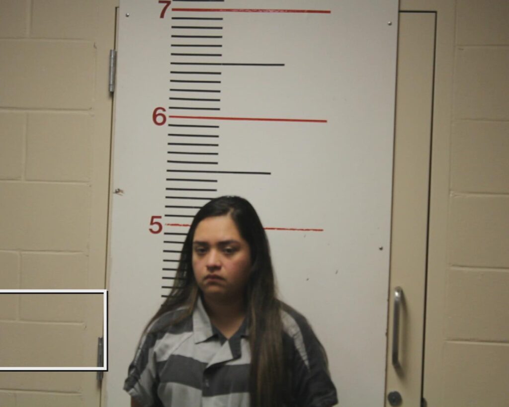 ramirez, maria monica booking photo