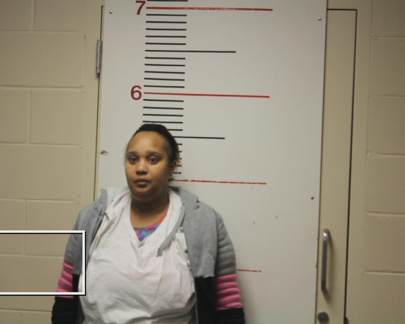 TURNER, SURNETRA O. booking photo