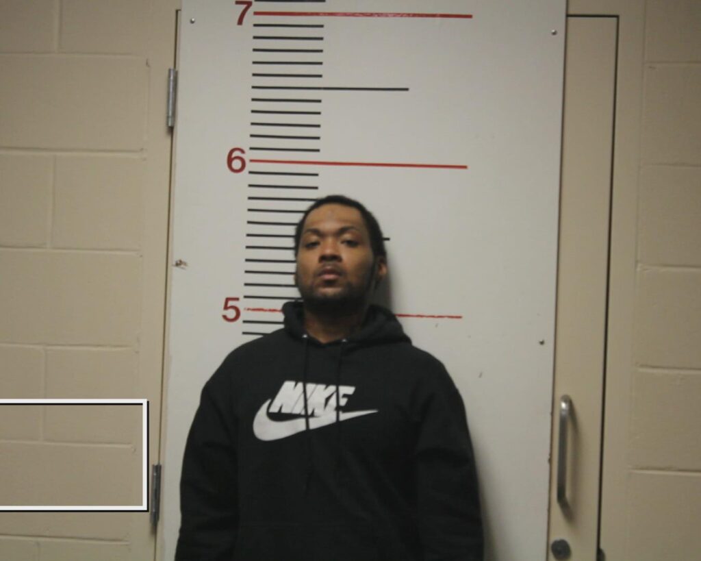 CHARLESTIN, WESNER JUNIOR booking photo