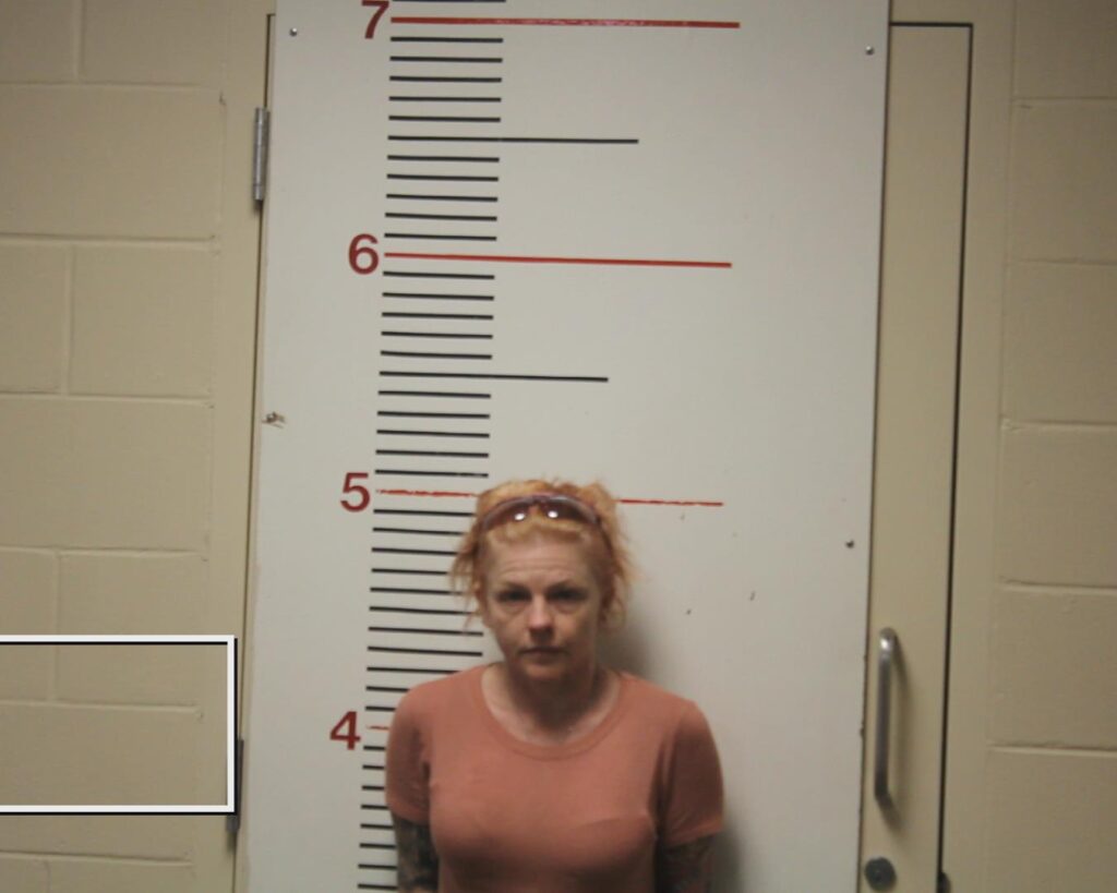 GOLDMAN, KATHRYN ANNETTE booking photo