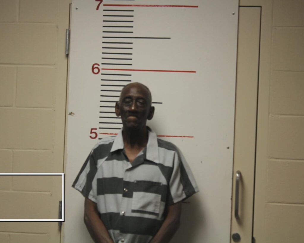 MIMS, JAMES LOUIS booking photo