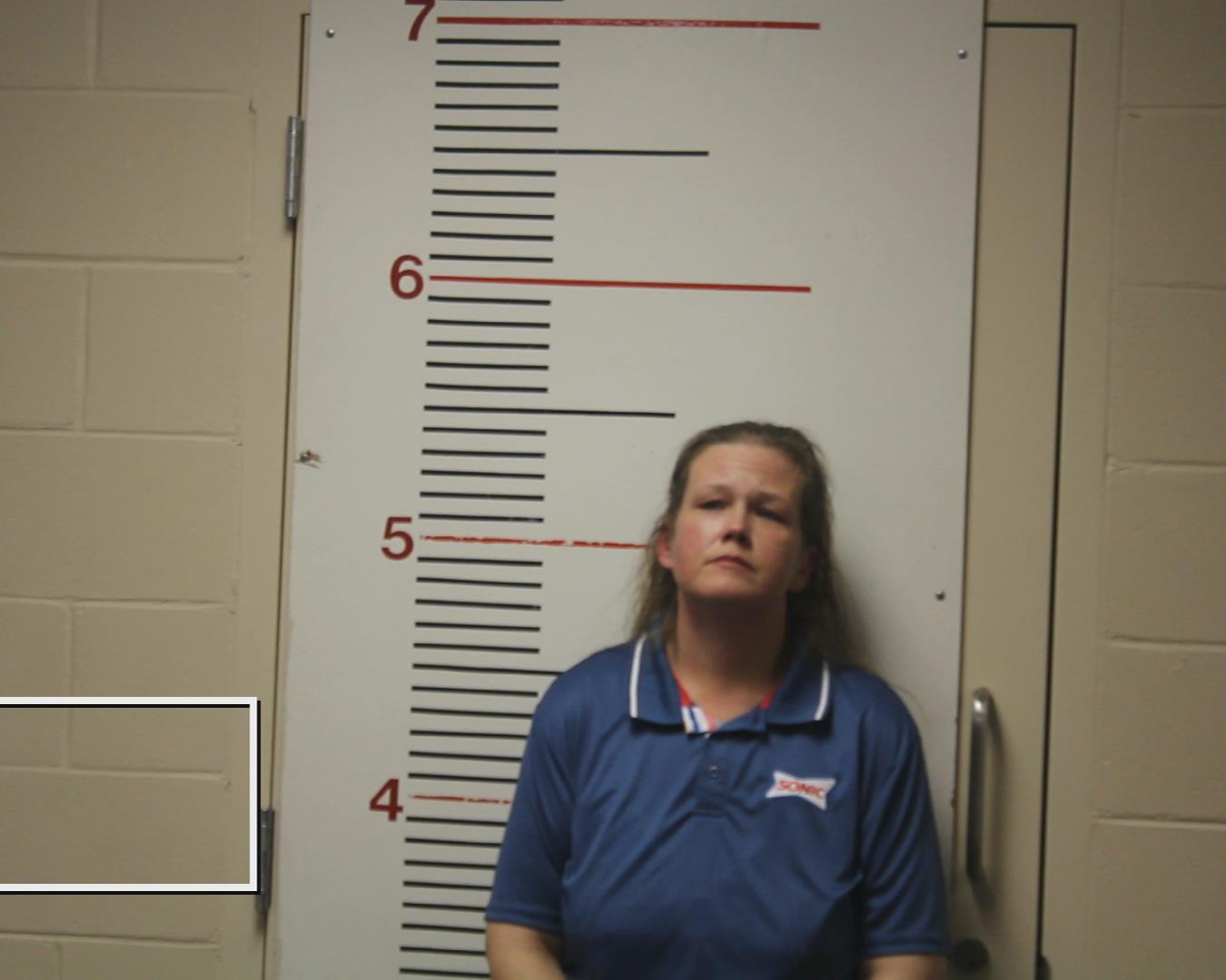 Blaser, Susan Renee booking photo