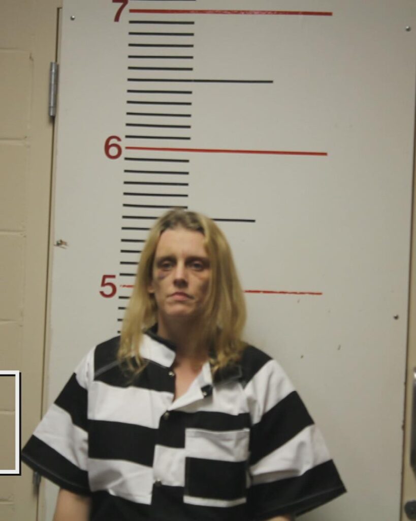 COLLISON, LAURA JEAN booking photo