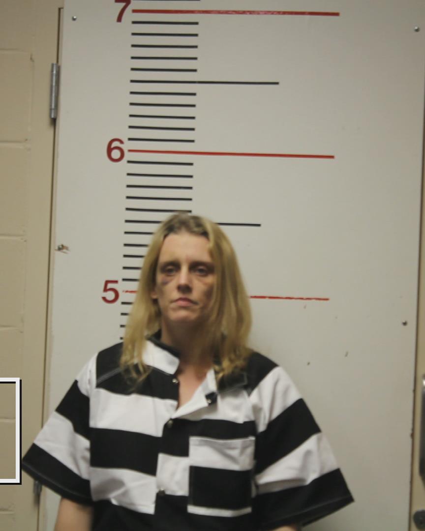 COLLISON, LAURA JEAN booking photo
