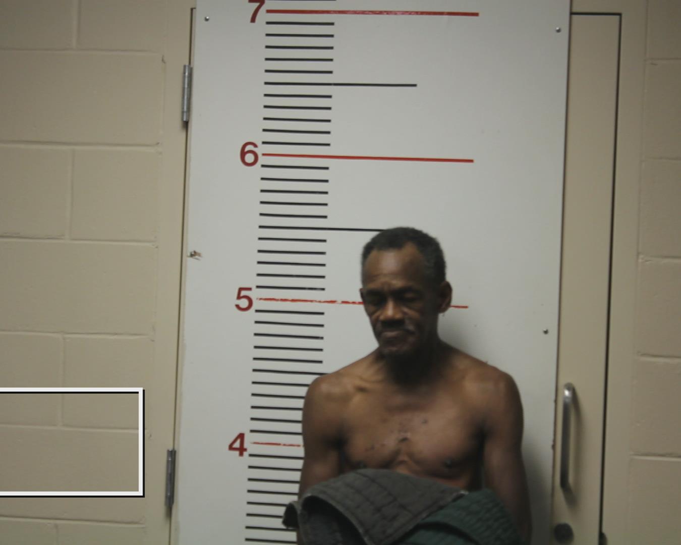 JOHNSON, ANTHONY WAYNE booking photo