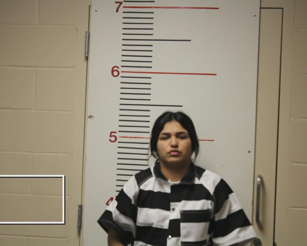 ROCHA,, MALLORY LIZBETH booking photo