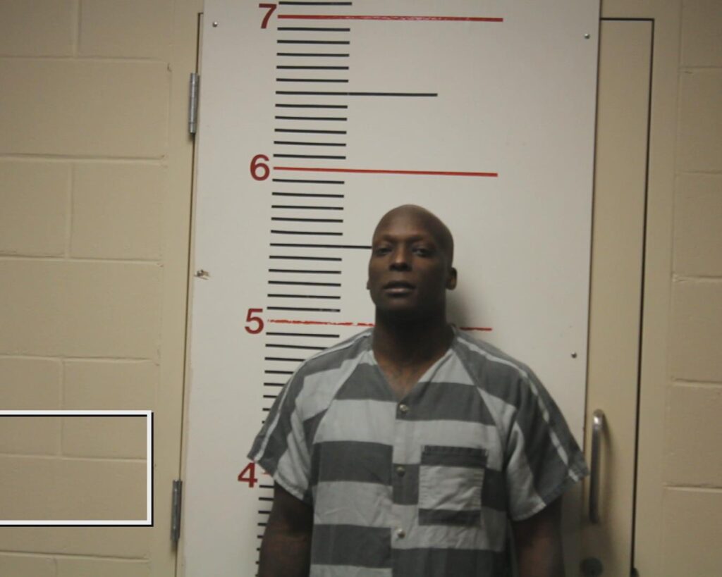 MEADOWS, DONALD LEE, Jr. booking photo