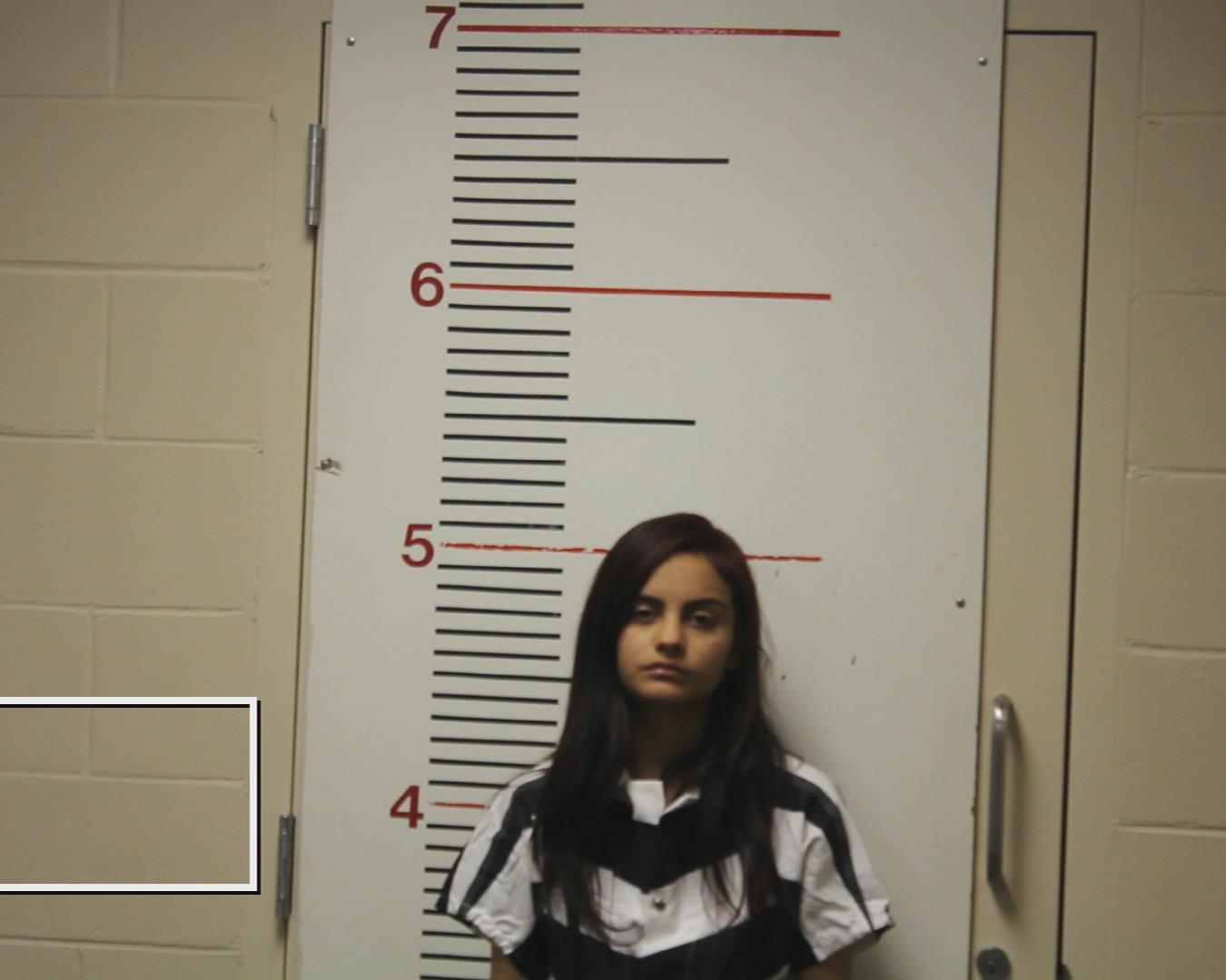 RAMIREZ, ESTRELLA CELESTE booking photo
