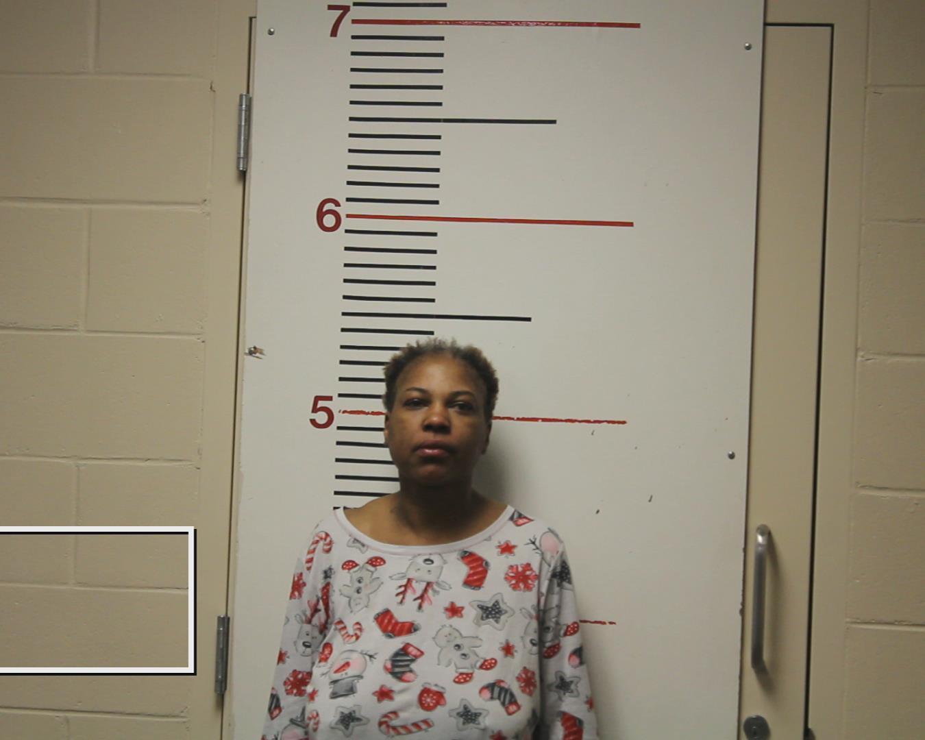 MCMORRIS, TOSHA LYNETA booking photo