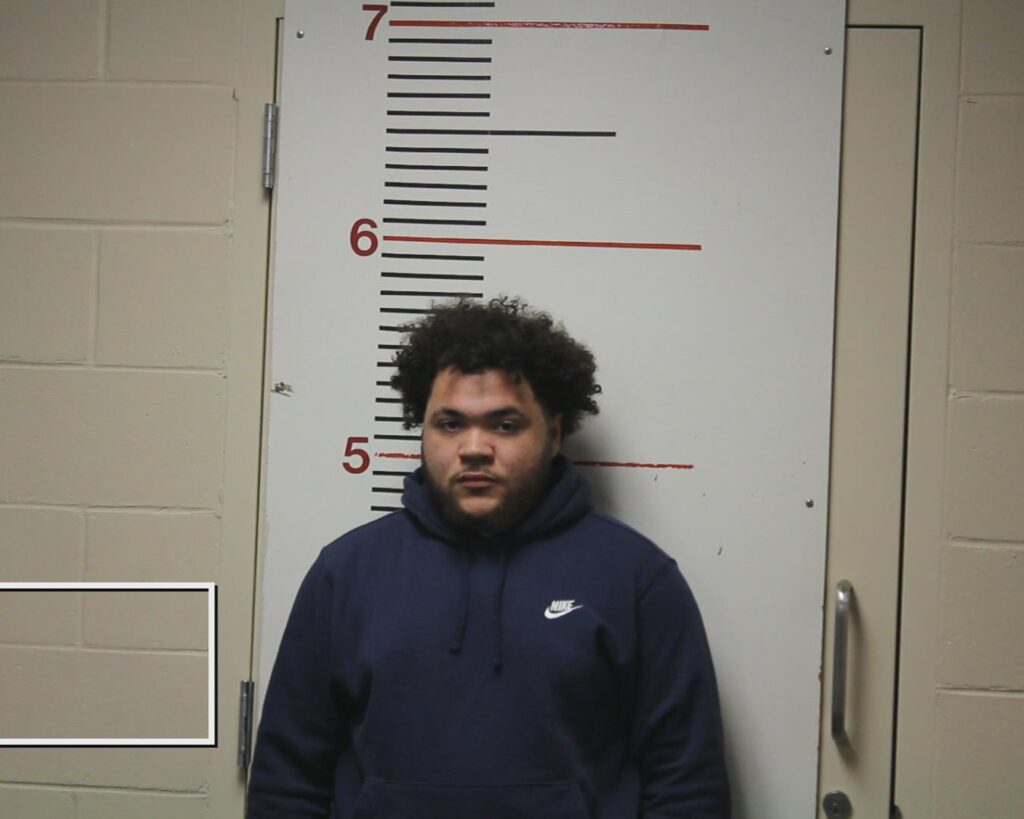 LEWIS, CASON MALIK booking photo