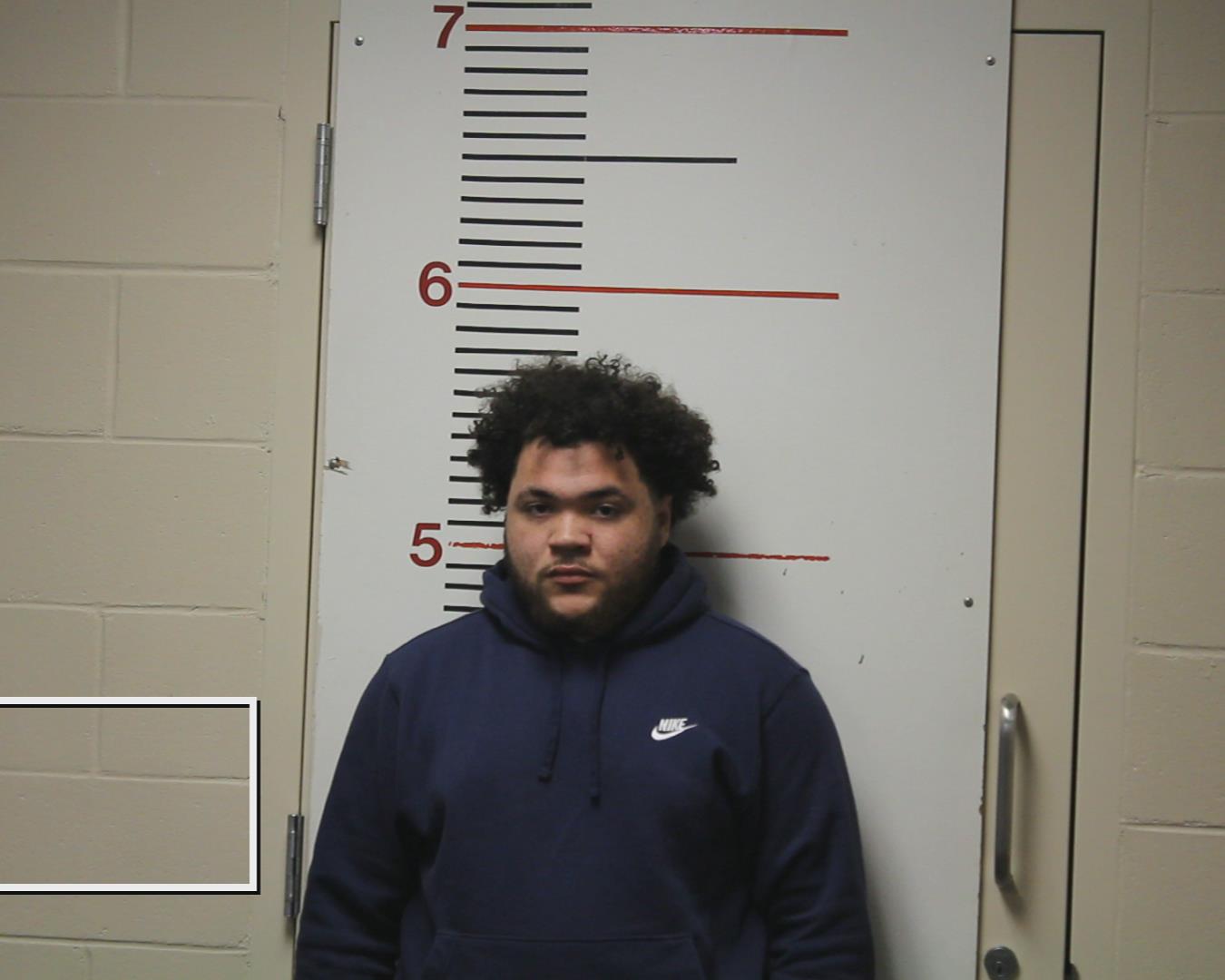 LEWIS, CASON MALIK booking photo