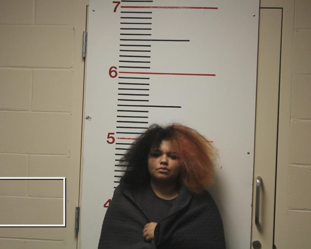 COOK, KARISSA MICHELLE booking photo