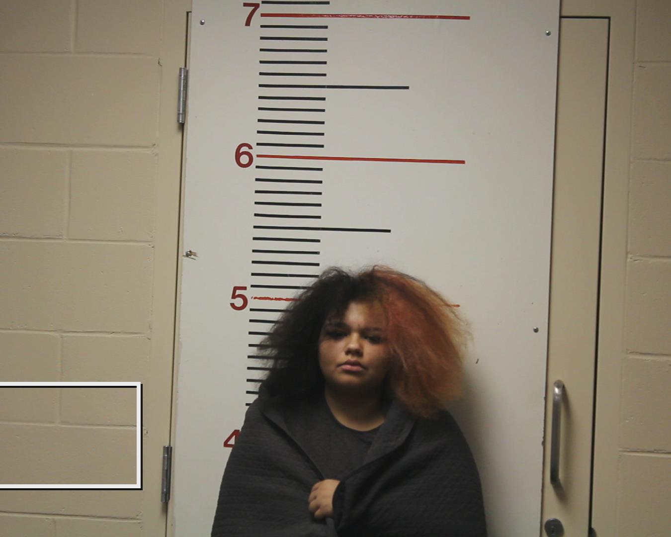 COOK, KARISSA MICHELLE booking photo