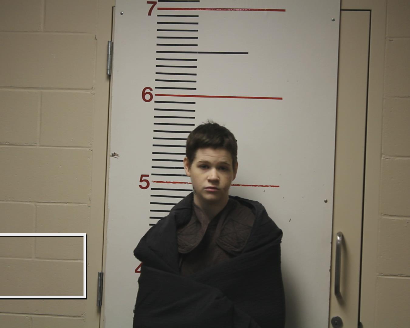 WHITTMORE, HANNAH LOUISE booking photo