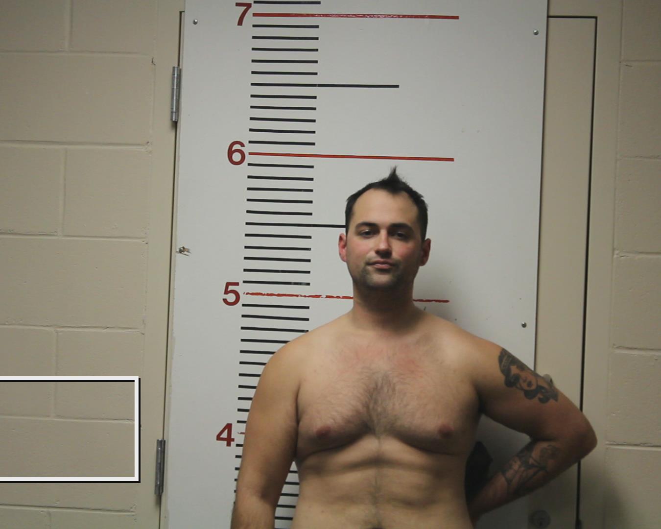 DALE, AUSTIN LEE booking photo