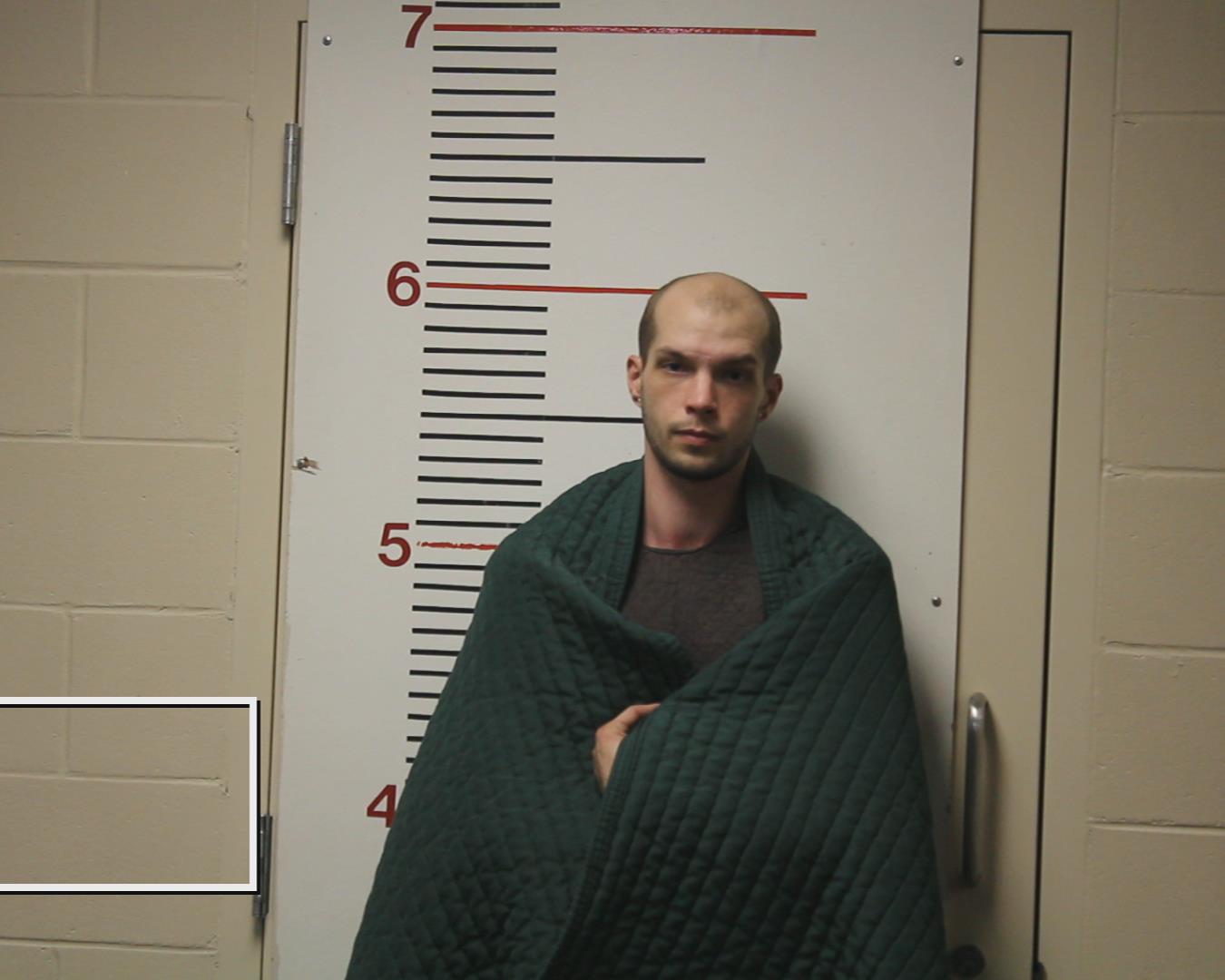 HERRMANN, MICHEAL ALEXANDER booking photo