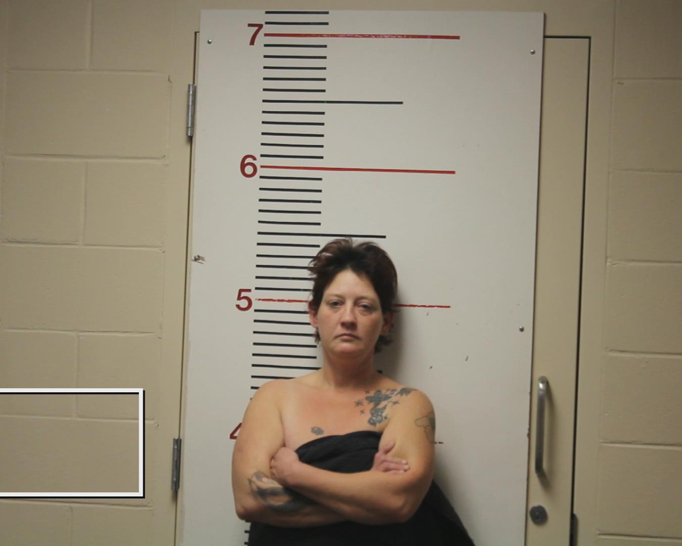 KEMP, STEPHANIE ANN booking photo