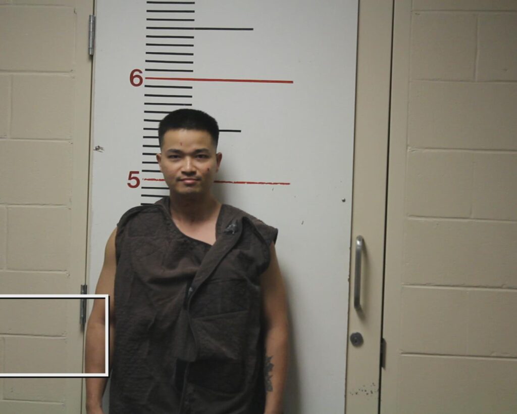 PHAN, TIN VAN booking photo