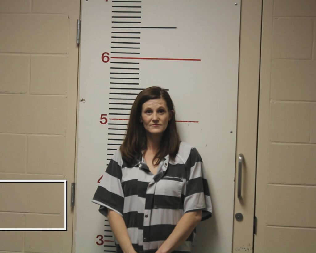 Miller-Collins, Sarah MELISSA booking photo