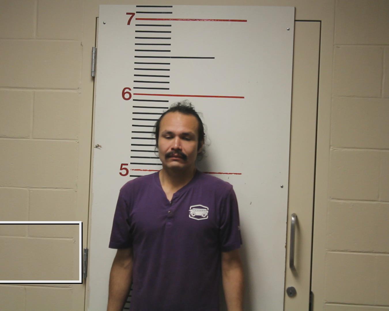 HERNANDEZ, GABRIEL ISAIAH booking photo