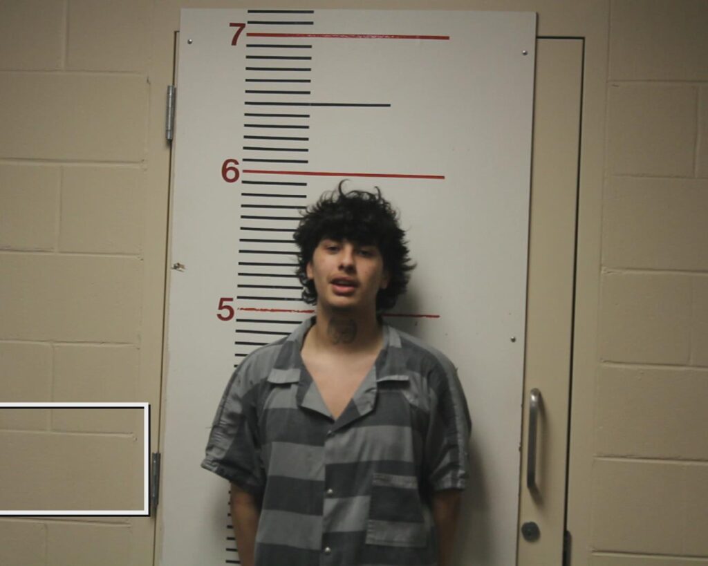 SALINAS, DAMIAN OMAR booking photo